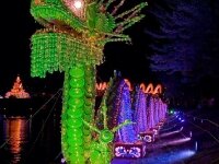 The head of ceramic dragon lanterns in night 