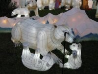 2008 Rogers Chinese Lantern Festival picture in daytime