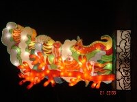 beijing-lantern-festival-in-longtan-2008-103