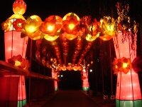 beijing-lantern-festival-in-longtan-2008-110