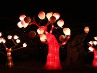 kaifeng-lantern-festival-0