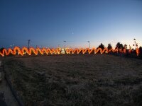 Picture of International Lantern Festival