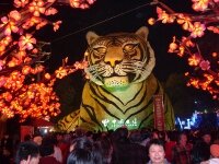 the-16th-zigong-chinese-lantern-festival-in-2010-0