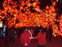 the-16th-zigong-chinese-lantern-festival-in-2010-00