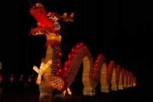 International Lantern Festival